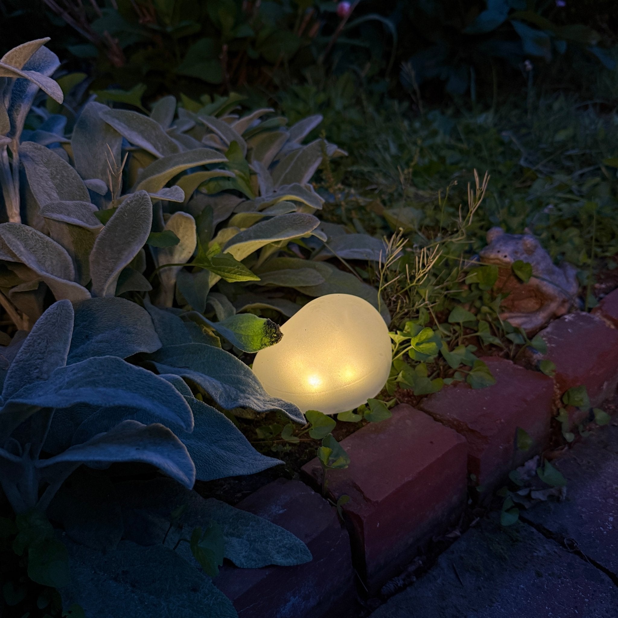 Fall Landscape Lighting: Wire-Free Ways to Light Your Yard