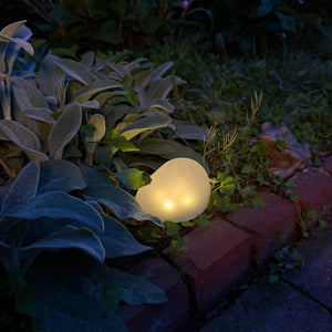 Fall Landscape Lighting: Wire-Free Ways to Light Your Yard