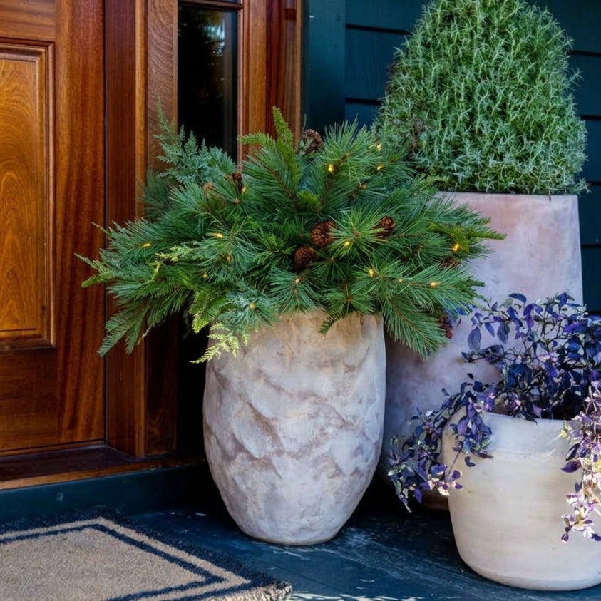 Woodsy evergreen arrangement consisting of pine and cedar tips with real pinecone clusters and pre-lit with warm white LED lights in a tall, light colored and textured urn.