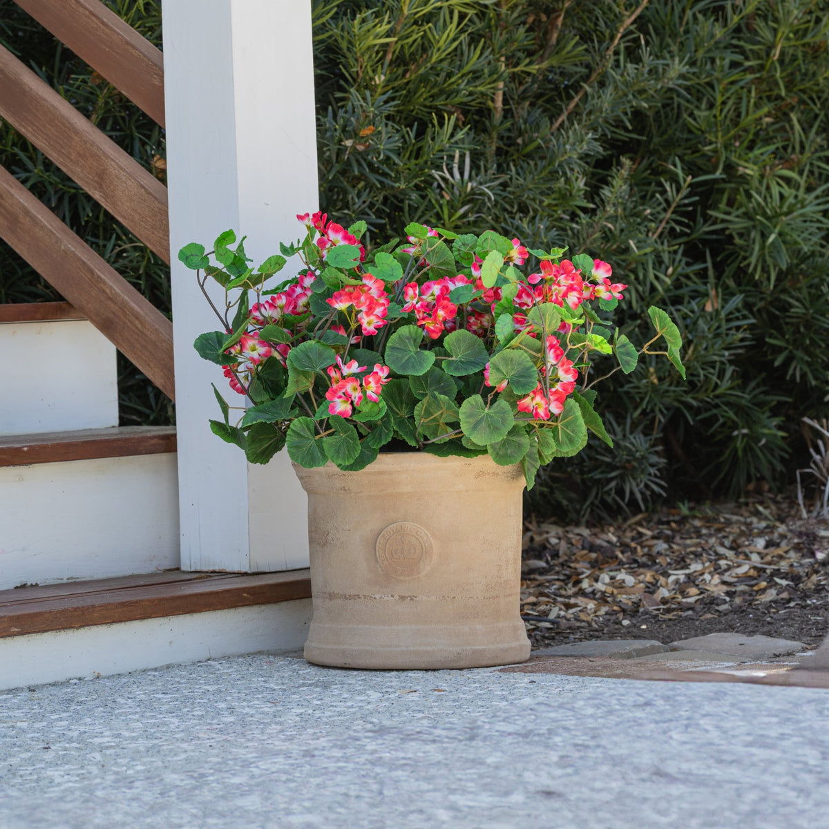 Urn Filler, Geranium, Red Blooms – Celestial at Home – Celestial Lights