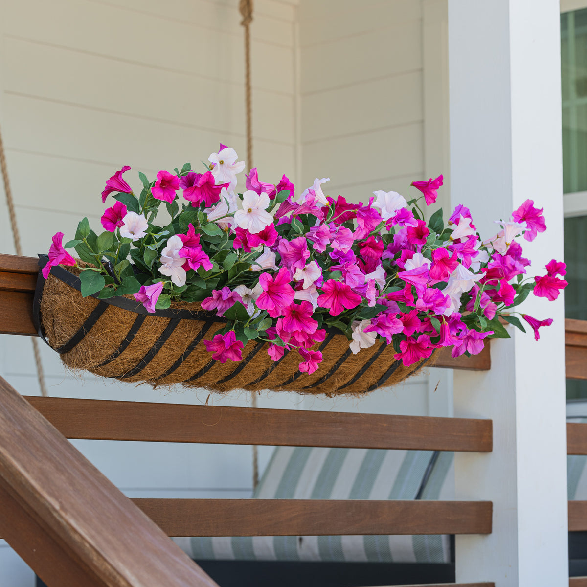 Window Box Pink Lifelike Petunia Window Box Filler - Hot Pink and Light Pink ...