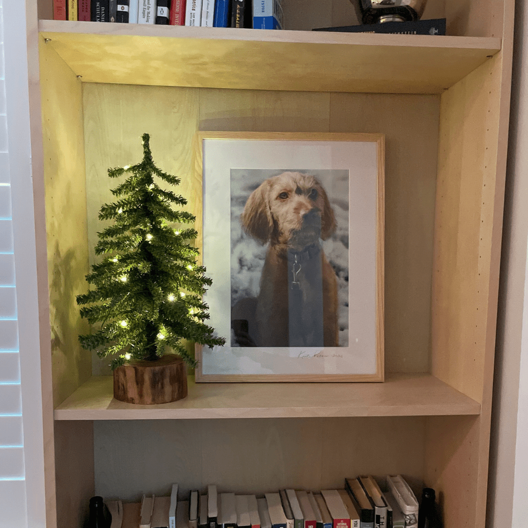 Mini Christmas tree with warm white lights styled on a bookshelf next to a framed picture