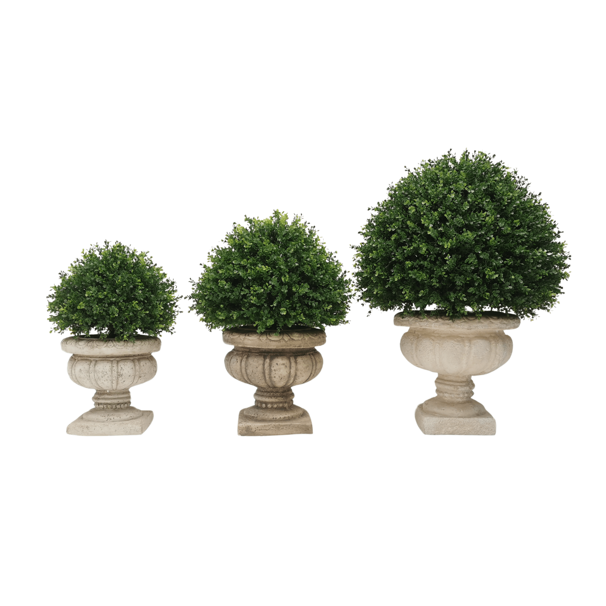 Tree Form Boxwood Sphere Lifelike Boxwood Topiary Sphere – Celestial Lights