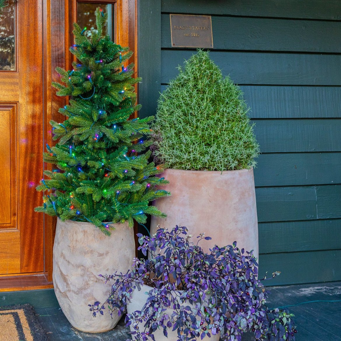 4ft Stake Tree | Pre-Lit | Color-Changing – Celestial at Home